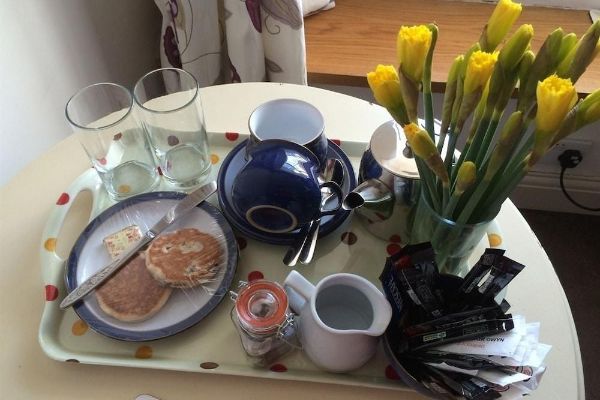 Hotel North Down Farm B&B (Wales)